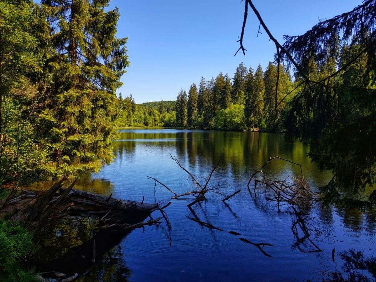 Schoene Bergsicht Γκόσλαρ Εξωτερικό φωτογραφία